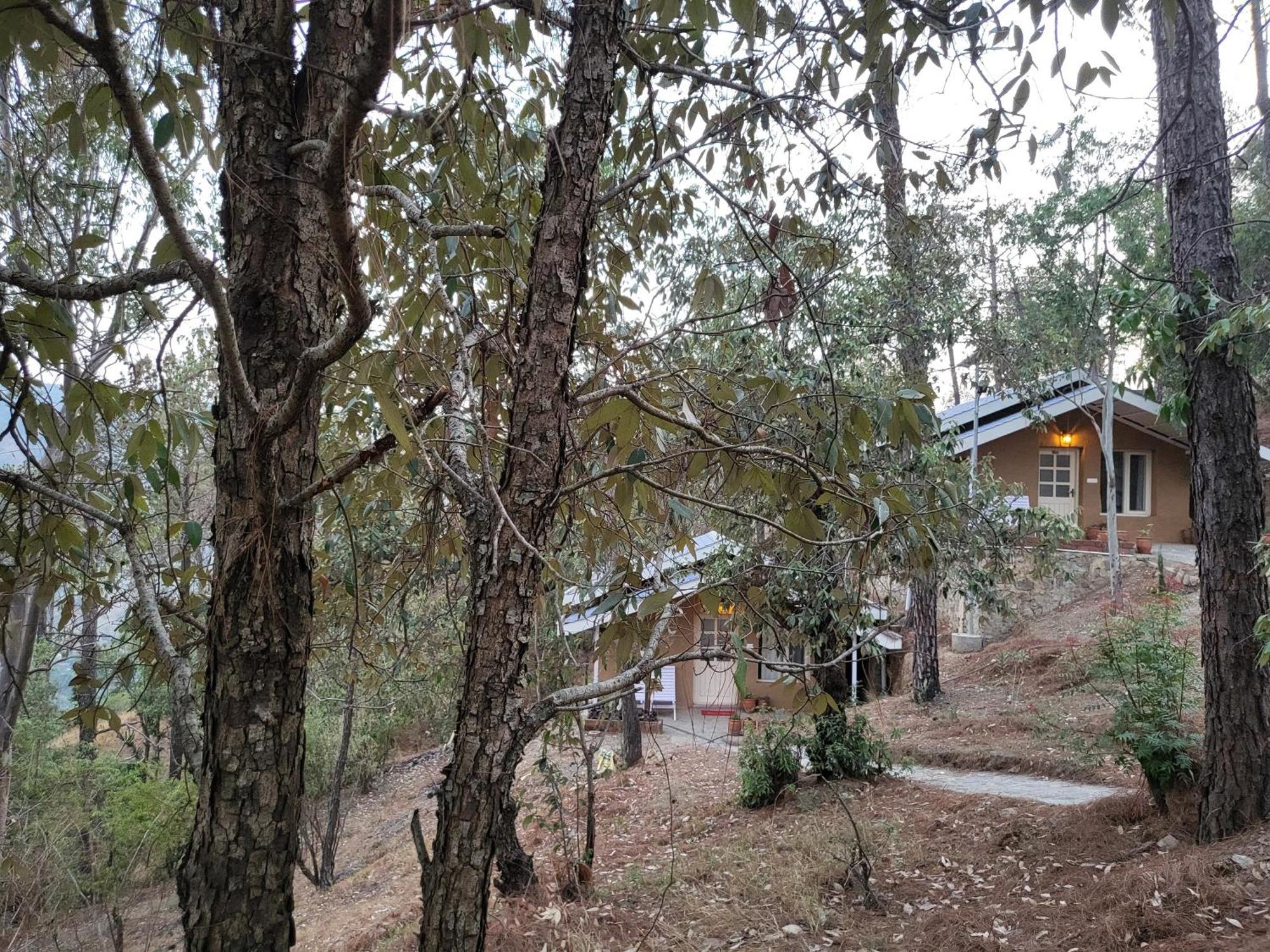 Rainbow Resorts Solan Rom bilde